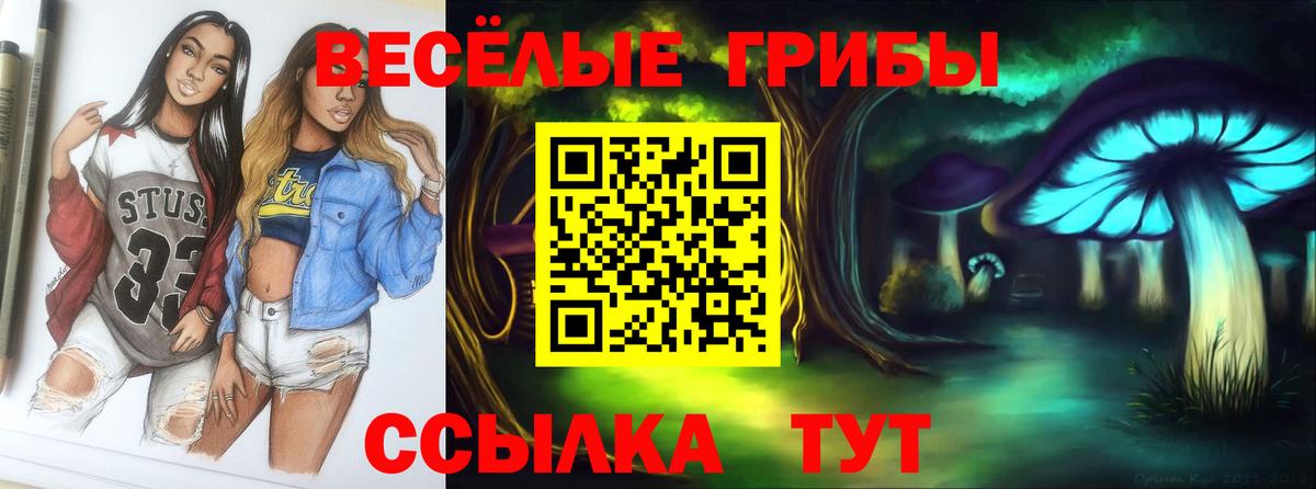 Сунжа  Псилоцибиновые грибы прущие грибы  Псилоцибиновые грибы ЛСД  Вход с VPN 